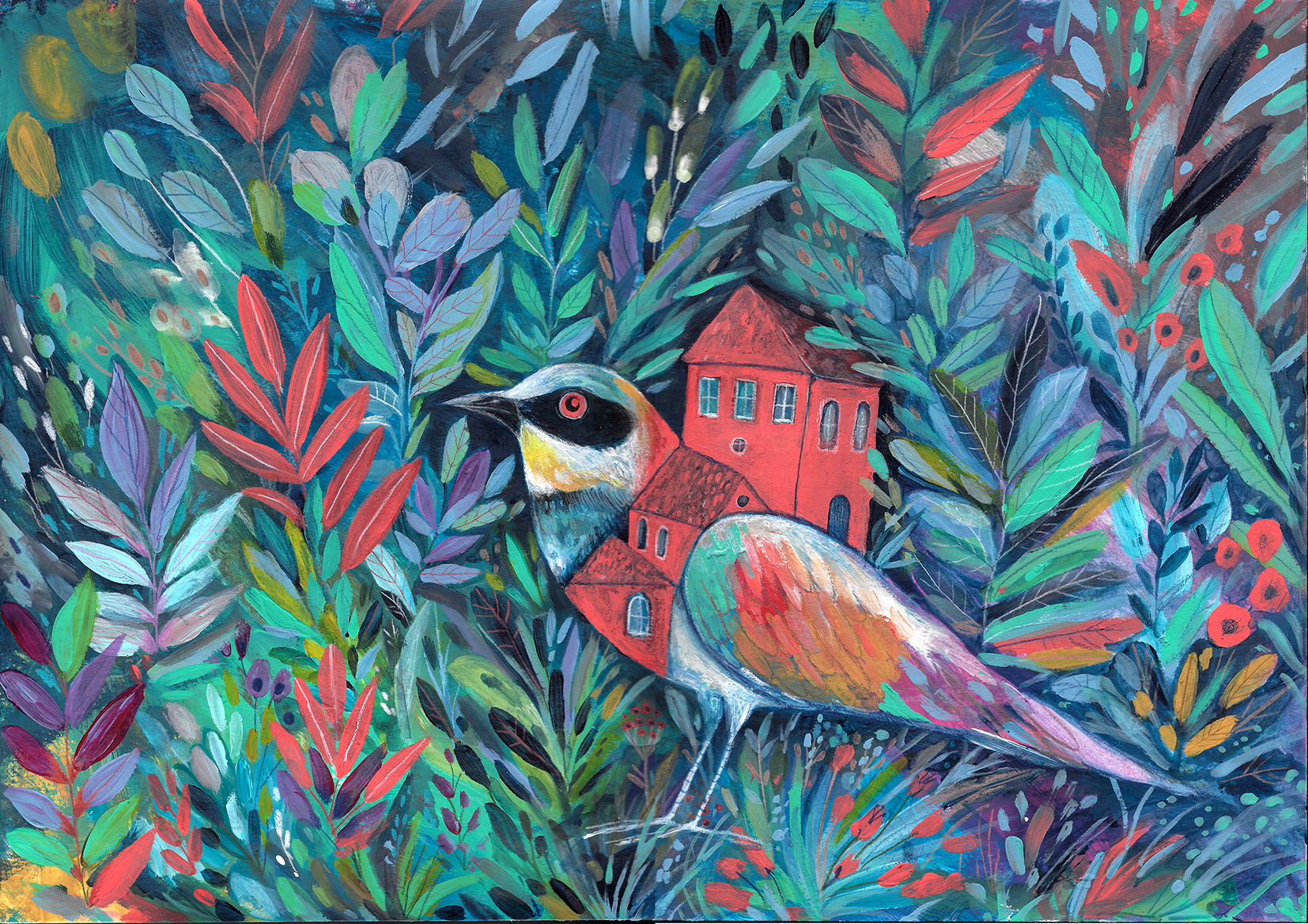 aserra_casa pajaro (1)